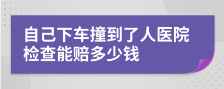 自己下车撞到了人医院检查能赔多少钱