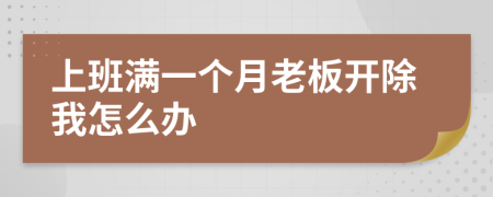 上班满一个月老板开除我怎么办