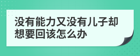 没有能力又没有儿子却想要回该怎么办