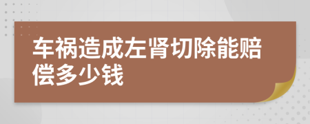 车祸造成左肾切除能赔偿多少钱