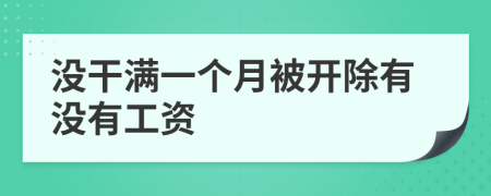 没干满一个月被开除有没有工资