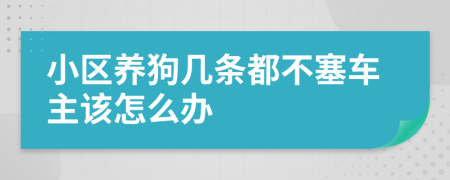 小区养狗几条都不塞车主该怎么办