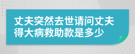 丈夫突然去世请问丈夫得大病救助款是多少