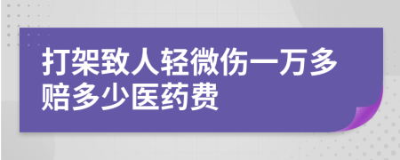 打架致人轻微伤一万多赔多少医药费