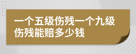 一个五级伤残一个九级伤残能赔多少钱