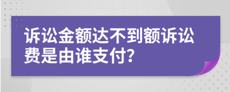 诉讼金额达不到额诉讼费是由谁支付？