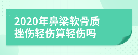 2020年鼻梁软骨质挫伤轻伤算轻伤吗