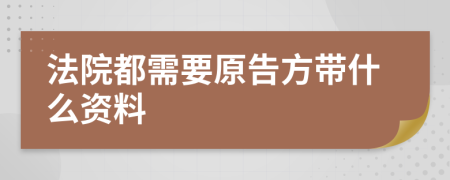 法院都需要原告方带什么资料