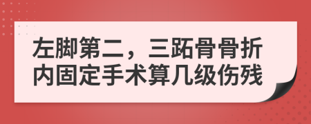 左脚第二，三跖骨骨折内固定手术算几级伤残