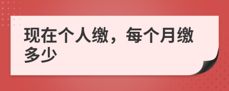 现在个人缴，每个月缴多少