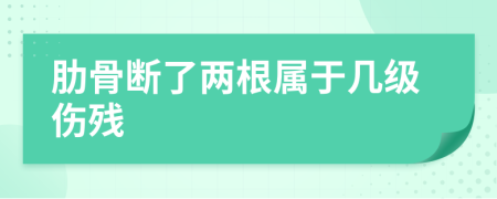 肋骨断了两根属于几级伤残