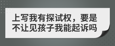 上写我有探试权，要是不让见孩子我能起诉吗