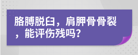 胳膊脱臼，肩胛骨骨裂，能评伤残吗？