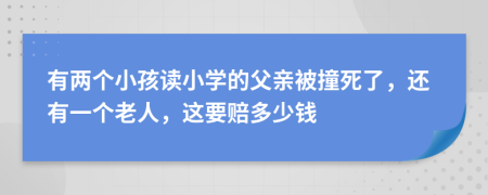 有两个小孩读小学的父亲被撞死了，还有一个老人，这要赔多少钱