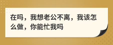 在吗，我想老公不离，我该怎么做，你能忙我吗