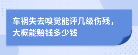 车祸失去嗅觉能评几级伤残，大概能赔钱多少钱