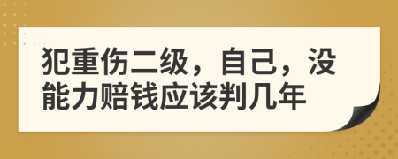 犯重伤二级，自己，没能力赔钱应该判几年