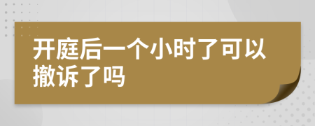 开庭后一个小时了可以撤诉了吗