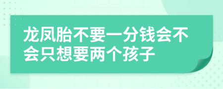 龙凤胎不要一分钱会不会只想要两个孩子