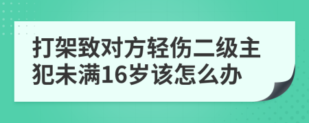 打架致对方轻伤二级主犯未满16岁该怎么办