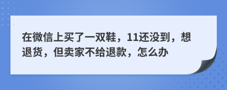 在微信上买了一双鞋，11还没到，想退货，但卖家不给退款，怎么办