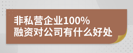 非私营企业100% 融资对公司有什么好处