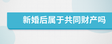 新婚后属于共同财产吗