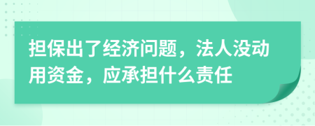 担保出了经济问题，法人没动用资金，应承担什么责任