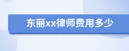 东丽xx律师费用多少