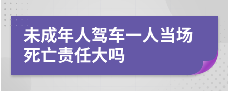 未成年人驾车一人当场死亡责任大吗