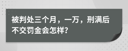 被判处三个月，一万，刑满后不交罚金会怎样？