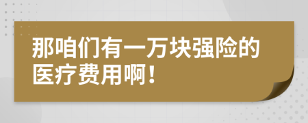 那咱们有一万块强险的医疗费用啊！