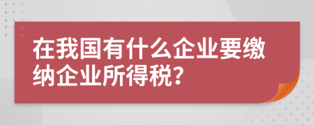 在我国有什么企业要缴纳企业所得税？