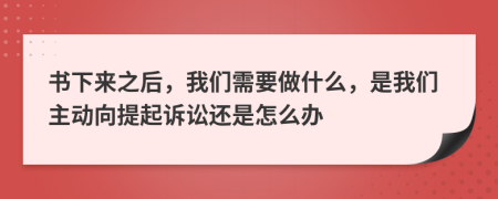 书下来之后，我们需要做什么，是我们主动向提起诉讼还是怎么办