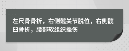 左尺骨骨折，右侧髋关节脱位，右侧髋臼骨折，腰部软组织挫伤