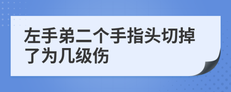 左手弟二个手指头切掉了为几级伤