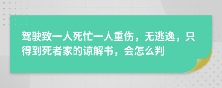 驾驶致一人死忙一人重伤，无逃逸，只得到死者家的谅解书，会怎么判