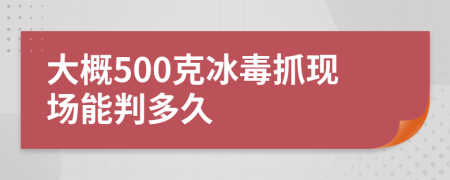 大概500克冰毒抓现场能判多久