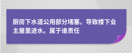 厨房下水道公用部分堵塞。导致楼下业主屋里进水。属于谁责任