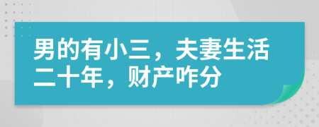 男的有小三，夫妻生活二十年，财产咋分