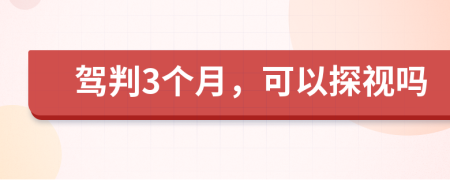 驾判3个月，可以探视吗