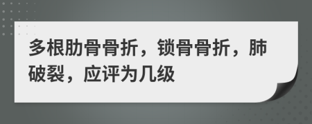 多根肋骨骨折，锁骨骨折，肺破裂，应评为几级