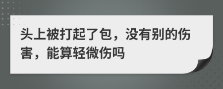 头上被打起了包，没有别的伤害，能算轻微伤吗