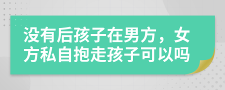 没有后孩子在男方，女方私自抱走孩子可以吗