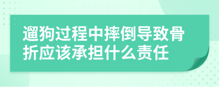 遛狗过程中摔倒导致骨折应该承担什么责任