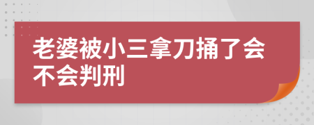 老婆被小三拿刀捅了会不会判刑