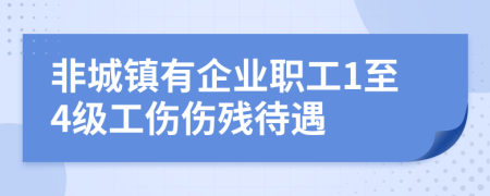 非城镇有企业职工1至4级工伤伤残待遇