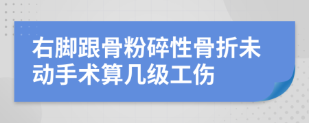 右脚跟骨粉碎性骨折未动手术算几级工伤