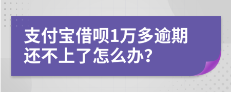 支付宝借呗1万多逾期还不上了怎么办？