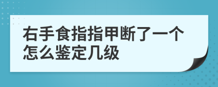 右手食指指甲断了一个怎么鉴定几级